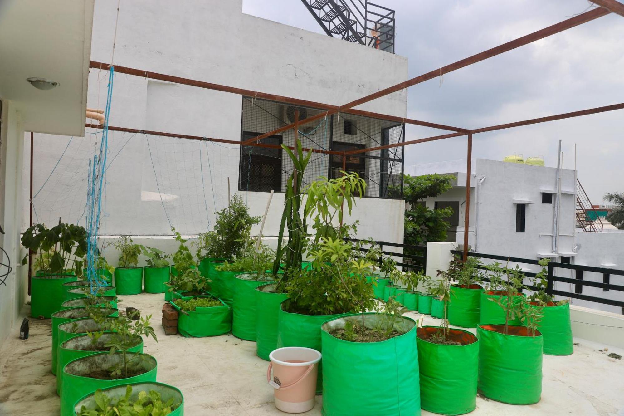 Budget-Friendly Udaipur Stay Exterior photo